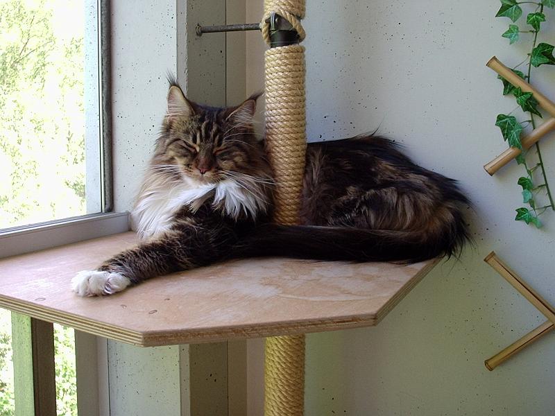 Pictures Sarin 006.jpg